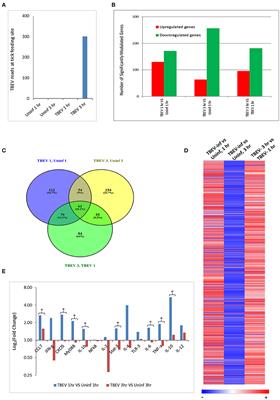 Transcriptional Immunoprofiling at the Tick-Virus-Host Interface during Early Stages of Tick-Borne Encephalitis Virus Transmission